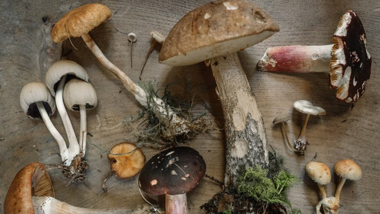 Ảnh minh họa Ảnh minh họa