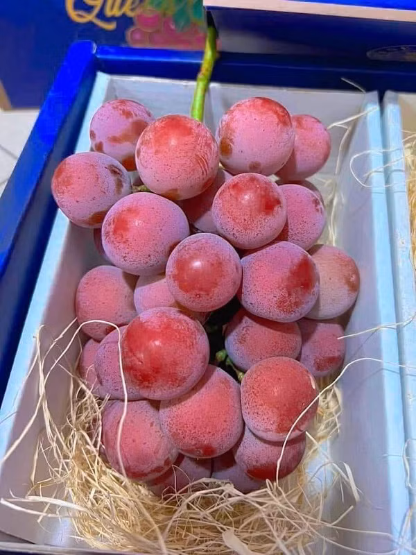 Trên chợ mạng đang rao bán la liệt nho Ruby Roman