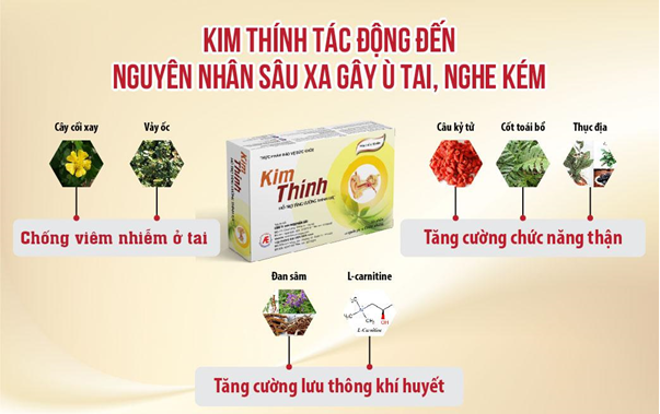 Thành phần có trong Kim Thính giúp tác động đến nhiều nguyên nhân gây ù tai