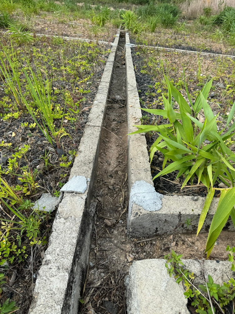 Nhiều mảnh vữa của nhà thầu khắc phục những điểm nứt, gãy của rãnh thoát nước nay đã bong ra từng mảng.