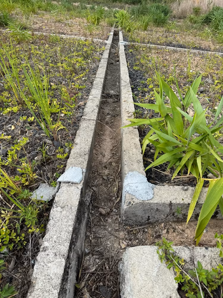 Nhiều mảnh vữa của nhà thầu khắc phục những điểm nứt, gãy của rãnh thoát nước nay đã bong ra từng mảng.