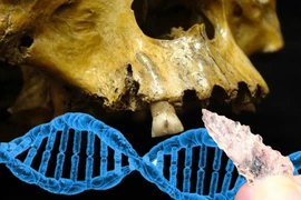 Phát hiện ADN thổ dân 8.500 năm tuổi từ cộng đồng chưa biết