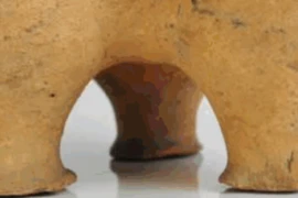 Khám phá bình gốm cổ đại độc đáo tại Carlisle