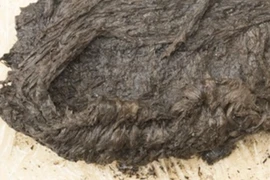 Giày cổ 5.000 năm từ hồ Greifensee hé lộ bí ẩn văn hóa cổ đại