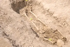 Phát hiện bí ẩn về nghi lễ hiến tế cổ xưa tại Dorset, Anh