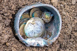 Phát hiện kho báu 900 năm tuổi tại cảng cổ Caesarea, Israel