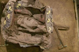 Khám phá xe kéo 2.500 năm tuổi trong nghĩa trang cổ Trung Quốc