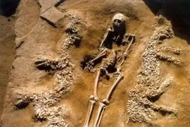 Khám phá lăng mộ cổ chứa họa tiết rồng phượng tại Trung Quốc