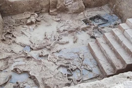 Bí ẩn về các con ngựa trong lễ tế Thời Kỳ Đồ Sắt ở Tây Ban Nha