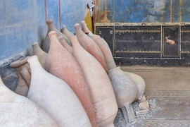 Căn phòng bí ẩn ở Pompeii chứa tranh tường mùa vụ và đồ vật linh thiêng