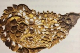 Phát hiện ngôi mộ cổ nữ quý tộc thời Đường tại Tây An