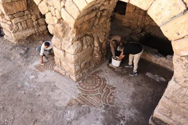 Nhà máy cũ Thổ Nhĩ Kỳ lộ tranh sàn khảm cổ 1.500 tuổi