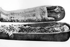 Phục dựng khuôn mặt pharaoh Amenhotep I bằng công nghệ 3D tiên tiến