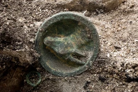 Phát hiện kỳ lạ: Ngôi mộ cổ của chiến binh Thracian và ngựa chiến