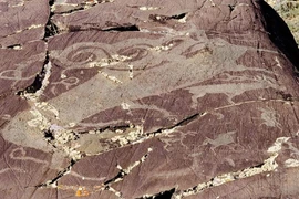 Sự tiến hóa của bản khắc đá hình hươu ở Mông Cổ