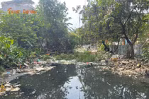 Dự án dang dở, người dân Tứ Liên mòn mỏi sống chung với nước tù, rác thải