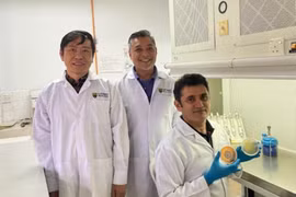 Nấm Nam Cực mở ra hy vọng mới trong điều trị bệnh Alzheimer