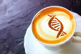 Caffeine có thể kích hoạt 'công tắc' tế bào cổ xưa liên quan đến lão hóa