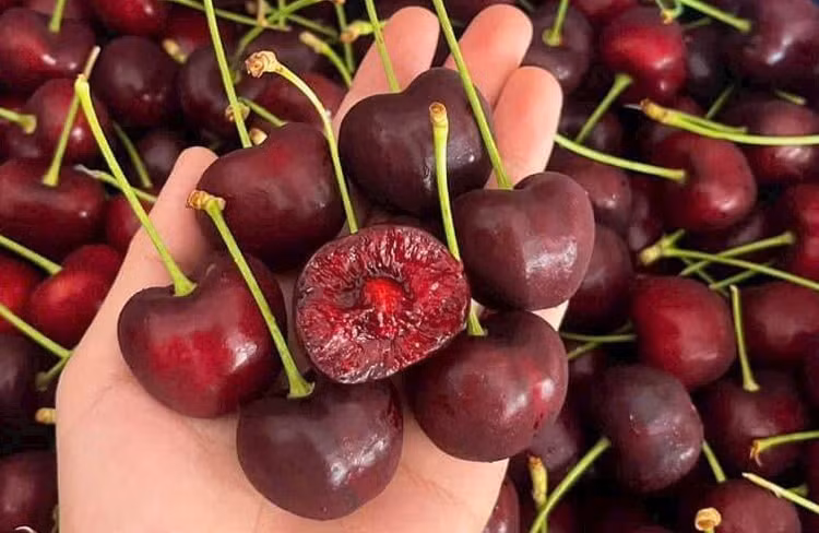cherry-my-1.jpg