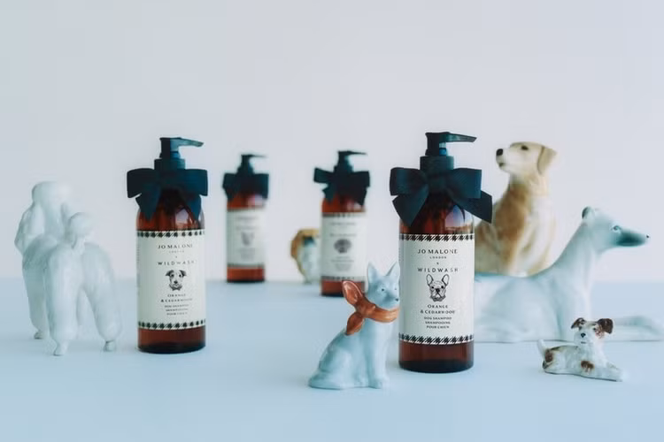 exclusive-jo-malone-london-breaks-into.jpg