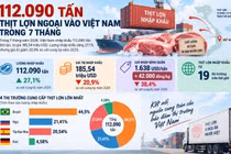 [INFOGRAPHIC] Thịt lợn ngoại vào Việt Nam tăng mạnh, giá nhập giảm sâu