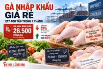 [INFOGRAPHIC] 7 THÁNG ĐẦU NĂM NHẬP KHẨU 214.400 TẤN THỊT VÀ PHỤ PHẨM GIA CẦM