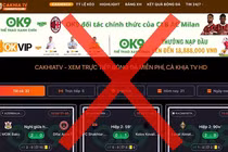 World Cup 2026: Cuộc chiến chống website lậu vẫn nóng bỏng