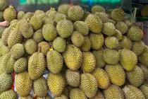 Sầu riêng Việt Nam tăng giá mạnh, mở rộng thị trường quốc tế