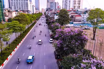 Hà Nội tháng 5 rực rỡ với vẻ đẹp dịu dàng của bằng lăng