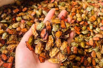 Đặc sản nhìn "khiếp vía" nửa triệu đồng/kg vẫn "cháy hàng"