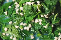 Rau cải ma trở thành món đặc sản gây sốt thị trường
