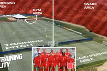 Rắn độc gây lo lắng cho các đội tuyển World Cup 2026 tại Mỹ