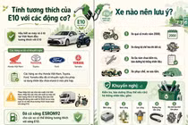 Những rủi ro chủ ôtô cũ dễ gặp nhất khi chạy xăng E10