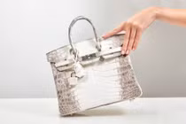 Túi Hermès bạch tạng của bà Trương Mỹ Lan đắt cỡ nào?