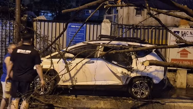 Cây đổ ra đường Khuất Duy Tiến trong cơn mưa dông tối nay.