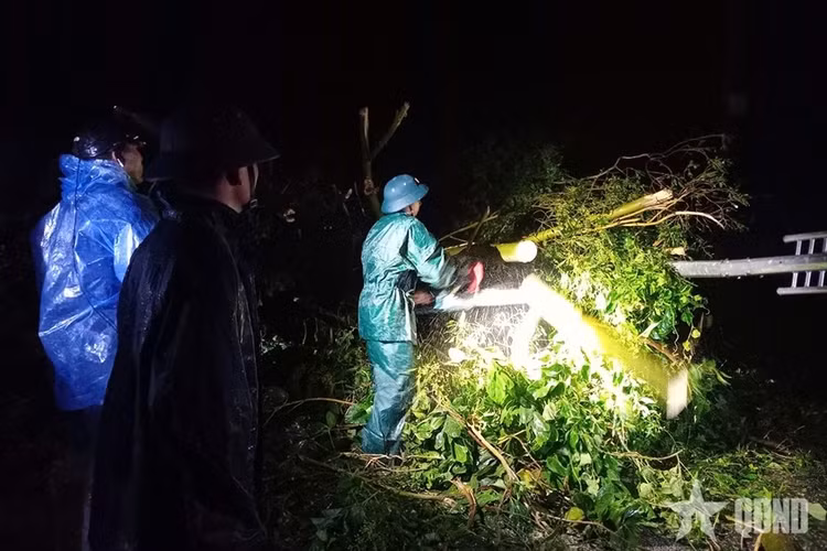 Các lực lượng của phường Móng Cái 3 giúp nhân dân khắc phục hậu quả sau bão.