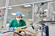 23 tuổi, không bệnh nền vẫn sốc sốt xuất huyết, 13 ngày hồi sức mới rút ECMO