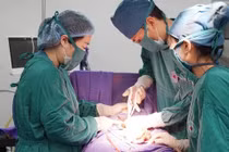 Chậm kinh đau bụng, người phụ nữ chửa ngoài tử cung đoạn kẽ nguy hiểm