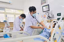 Liên tiếp ca rắn độc cắn nguy kịch, bác sĩ cảnh báo sai lầm chết người