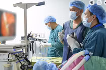 Hiếm gặp, tắc mật do stent di lệch