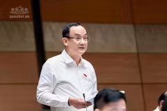 Đại biểu đề xuất phát triển nhà ở theo khả năng chi trả
