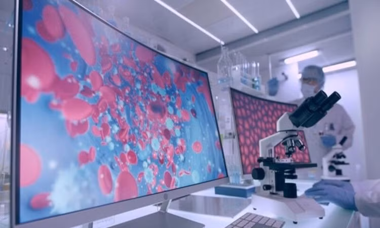 Các hematoid bắt đầu sản xuất tế bào máu sau 2 tuần trong phòng thí nghiệm, mô phỏng quá trình ở phôi thai người - Ảnh Independent.