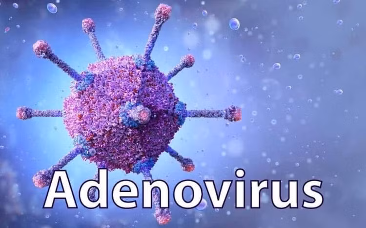 Sốt virus Adeno – một trong những bệnh lý phổ biến hiện nay. Ảnh minh họa