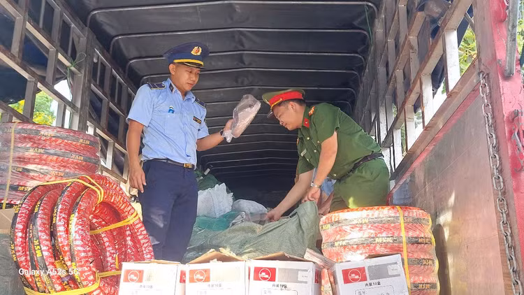 Số vụ vi phạm bị xử lý trong lĩnh vực xâm phạm quyền sở hữu trí tuệ tăng 370,6% (gấp 4,7 lần) so với cùng kỳ năm ngoái. Ảnh DMS