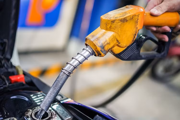 1-1578.jpg