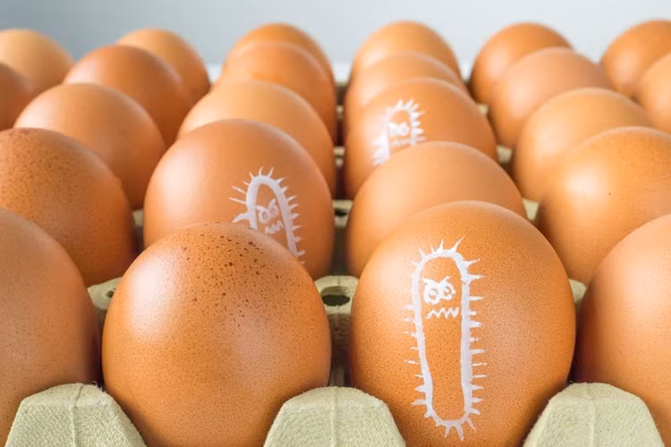Ăn trứng sống, luộc trứng không kỹ, người dân cũng có thể nhiễm vi khuẩn Salmonella. Ảnh minh hoạ/ Nguồn vneconomy.vn
