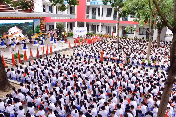 thcs-lb.jpg