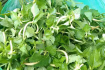 Dân phố lùng mua 3 cây dại mọc bờ mương, giờ là đặc sản hút khách