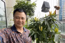 Ngỡ ngàng ngắm căn hộ với góc ban công xanh mướt của NSND Tự Long