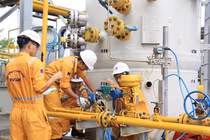 Một loạt lỗi vi phạm, GAS bị phạt 270 triệu đồng